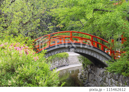 初夏の京都　下鴨神社　新緑に包まれた輪橋 115462612