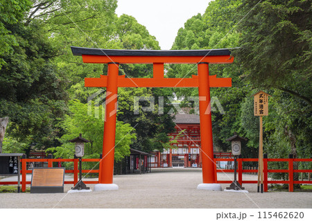 京都　下鴨神社　糺の森〜二の鳥居〜楼門 115462620