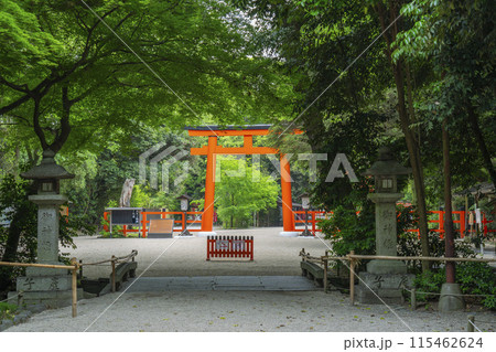 京都　下鴨神社　糺の森 115462624