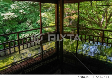 京都八瀬大原 瑠璃光院 青もみじ 京都八瀬大原 瑠璃光院 青もみじ 115462654