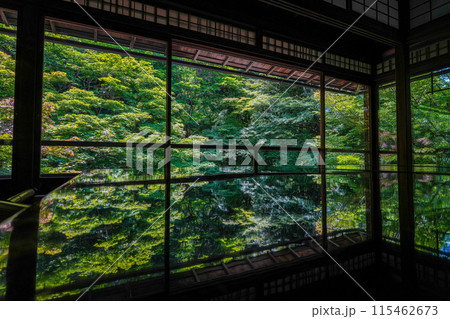 京都八瀬大原　瑠璃光院　青もみじ 115462673