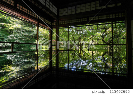 京都八瀬大原　瑠璃光院　青もみじ 115462696