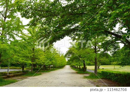 初夏の秩父ミュ-ズパ-ク 初夏の秩父ミュ-ズパ-ク 115462708