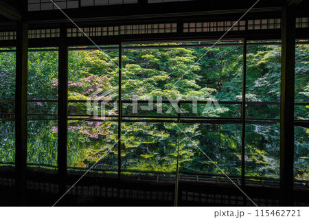 京都八瀬大原 瑠璃光院 青もみじ 京都八瀬大原 瑠璃光院 青もみじ 115462721