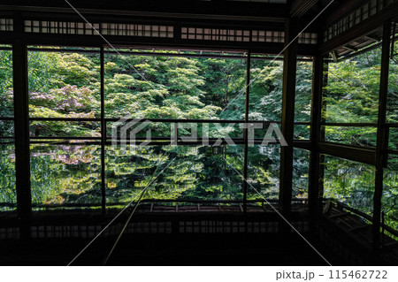 京都八瀬大原 瑠璃光院 青もみじ 京都八瀬大原 瑠璃光院 青もみじ 115462722