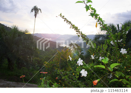 Beautiful landscape view with customizable space for text. 115463114