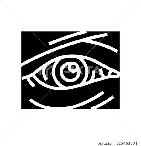 eye injuries household injury accident glyph icon vector illustration eye injuries household injury accident glyph icon vector illustration 115463501