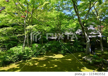 大河内山荘 嵐山 大河内山荘 嵐山 115463552