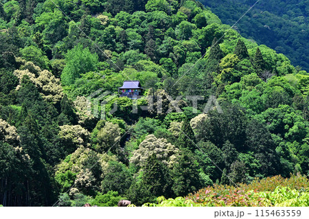 大河内山荘　嵐山 115463559