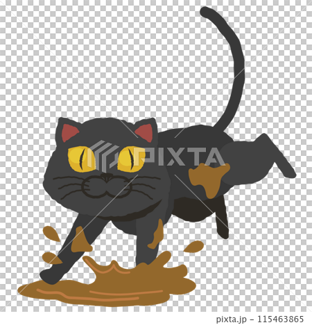 Black cat with paws in mud puddle 115463865