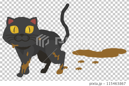 Black cat walking out of a mud puddle Black cat walking out of a mud puddle 115463867