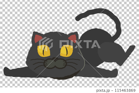 Black cat lying on stomach Black cat lying on stomach 115463869