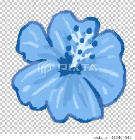 青い涼しげなハイビスカスの花 115464549