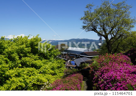 伊豆 葛城山 山頂のレストハウス碧テラス 伊豆 葛城山 山頂のレストハウス碧テラス 115464701