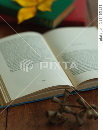 本と落ち葉 読書イメージ 本と落ち葉 読書イメージ 115465121
