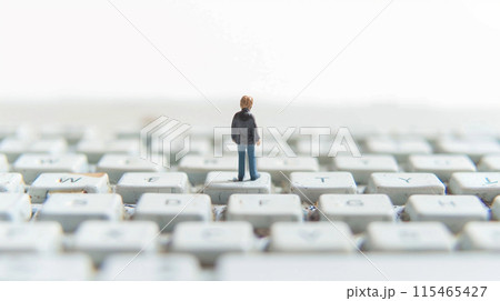 キーボードの上を歩くミニチュア 115465427
