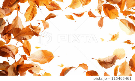 落ち葉のフレーム 115465461