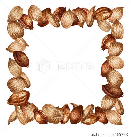 Square frame of apricot kernels and seeds. Watercolor illustration for the design template for label, banner, menu, invitation, wallpaper, advertising of oil in medicine, cosmetology and cooking 115465728