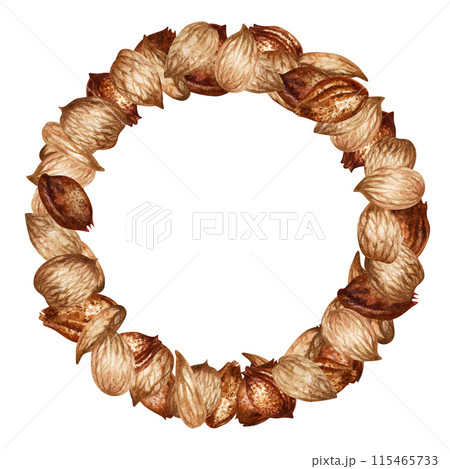 Round frame of apricot kernels and seeds. Watercolor illustration for the design template for label, banner, menu, invitation, wallpaper, advertising of oil in medicine, cosmetology and cooking 115465733
