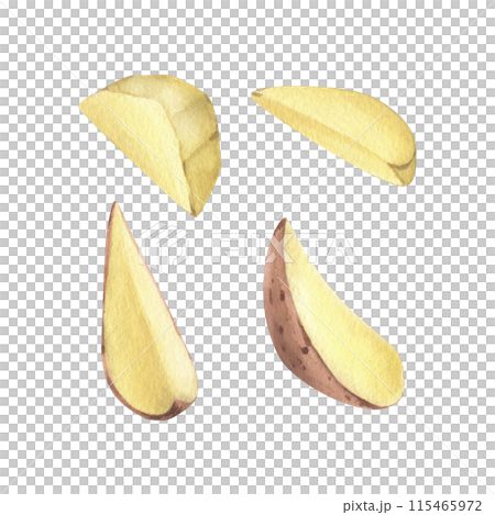 Red potatoes in brown skin and peeled, cut into slices. Watercolor illustration, hand drawn on the theme of harvest, cooking, food, vegetable shop design. Set of elements isolated from background Red potatoes in brown skin and peeled, cut into slices. Watercolor illustration, hand drawn on the theme of harvest, cooking, food, vegetable shop design. Set of elements isolated from background 115465972