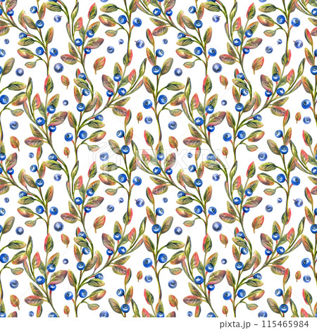 Forest autumn blueberries with leaves. Illustration hand drawn with watercolor crayons. Seamless pattern on a white background Forest autumn blueberries with leaves. Illustration hand drawn with watercolor crayons. Seamless pattern on a white background 115465984