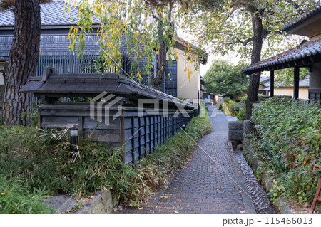 長野県小布施町 栗の小径 長野県小布施町 栗の小径 115466013