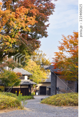 長野県小布施町 秋の里山風景 長野県小布施町 秋の里山風景 115466025