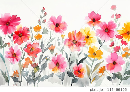 Summer flower watercolor border, vibrant pink and yellow blooms, white background, minimalistic elegance, space for text, gentle brush strokes, fresh design Summer flower watercolor border, vibrant pink and yellow blooms, white background, minimalistic elegance, space for text, gentle brush strokes, fresh design 115466196