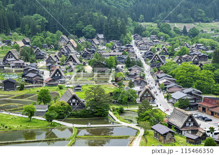 岐阜県 白川郷合掌造り集落 城跡展望台からの風景 世界遺産 岐阜県 白川郷合掌造り集落 城跡展望台からの風景 世界遺産 115466350