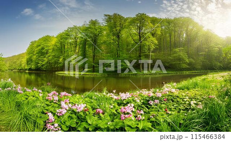 湖畔に咲く花と森の風景 115466384
