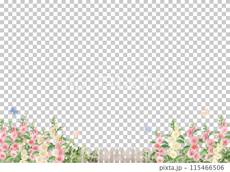 有蜀葵的花園（柵欄下方） 115466506