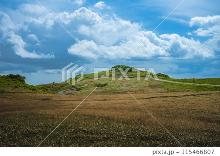 快晴の青空広がる、初夏の天狗高原の風景。 快晴の青空広がる、初夏の天狗高原の風景。 115466807