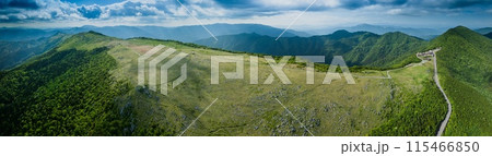 快晴の青空広がる、初夏の天狗高原の風景。ドローン空撮 115466850