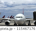ホノルル空港の飛行機 115467176