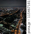 ホテルからの夜景 115467181