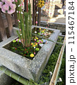 花に囲まれた手水 115467184