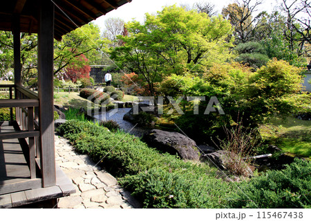 姫路城西御屋敷跡庭園「好古園」 春の日本庭園 流れの平庭 姫路城西御屋敷跡庭園「好古園」 春の日本庭園 流れの平庭 115467438