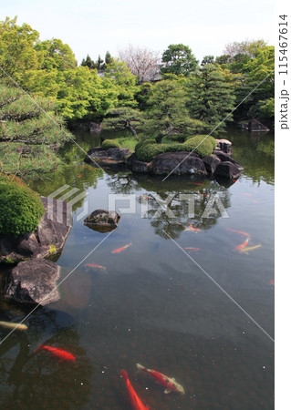 姫路城西御屋敷跡庭園「好古園」 春の日本庭園 姫路城西御屋敷跡庭園「好古園」 春の日本庭園 115467614