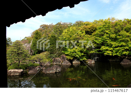 姫路城西御屋敷跡庭園「好古園」　春の日本庭園 115467617