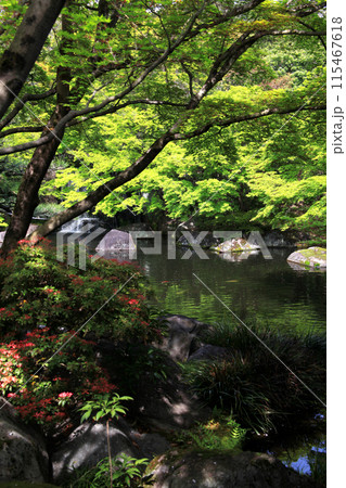 姫路城西御屋敷跡庭園「好古園」 春の日本庭園 姫路城西御屋敷跡庭園「好古園」 春の日本庭園 115467618
