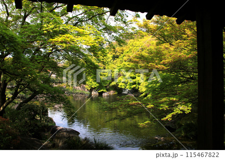 姫路城西御屋敷跡庭園「好古園」 春の日本庭園 姫路城西御屋敷跡庭園「好古園」 春の日本庭園 115467822