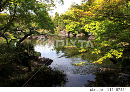 姫路城西御屋敷跡庭園「好古園」 春の日本庭園 姫路城西御屋敷跡庭園「好古園」 春の日本庭園 115467824