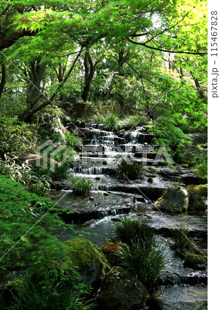 姫路城西御屋敷跡庭園「好古園」 春の日本庭園 姫路城西御屋敷跡庭園「好古園」 春の日本庭園 115467828