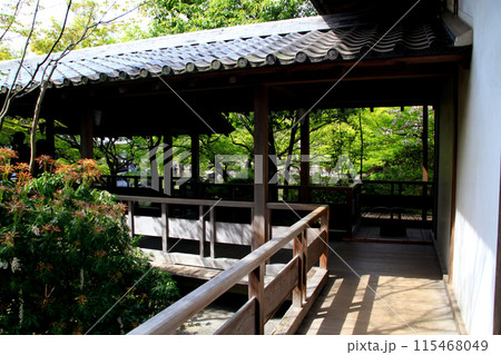 姫路城西御屋敷跡庭園「好古園」 春の日本庭園 姫路城西御屋敷跡庭園「好古園」 春の日本庭園 115468049
