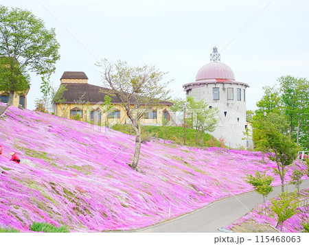 北海道の絶景 芝ざくら滝上公園の風景 北海道の絶景 芝ざくら滝上公園の風景 115468063
