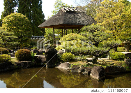 姫路城西御屋敷跡庭園「好古園」　春の日本庭園 115468097