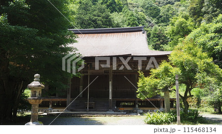 初夏の羽賀寺本堂 115468134
