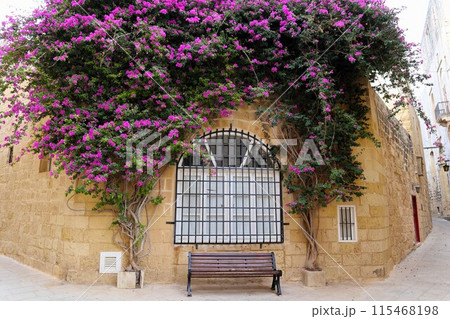 マルタ島イムディーナの路地裏 115468198