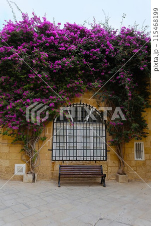 マルタ島イムディーナのベンチと花 マルタ島イムディーナのベンチと花 115468199
