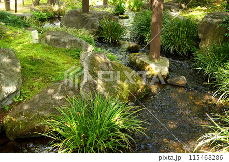 姫路城西御屋敷跡庭園「好古園」　春の日本庭園　流れの平庭 115468286